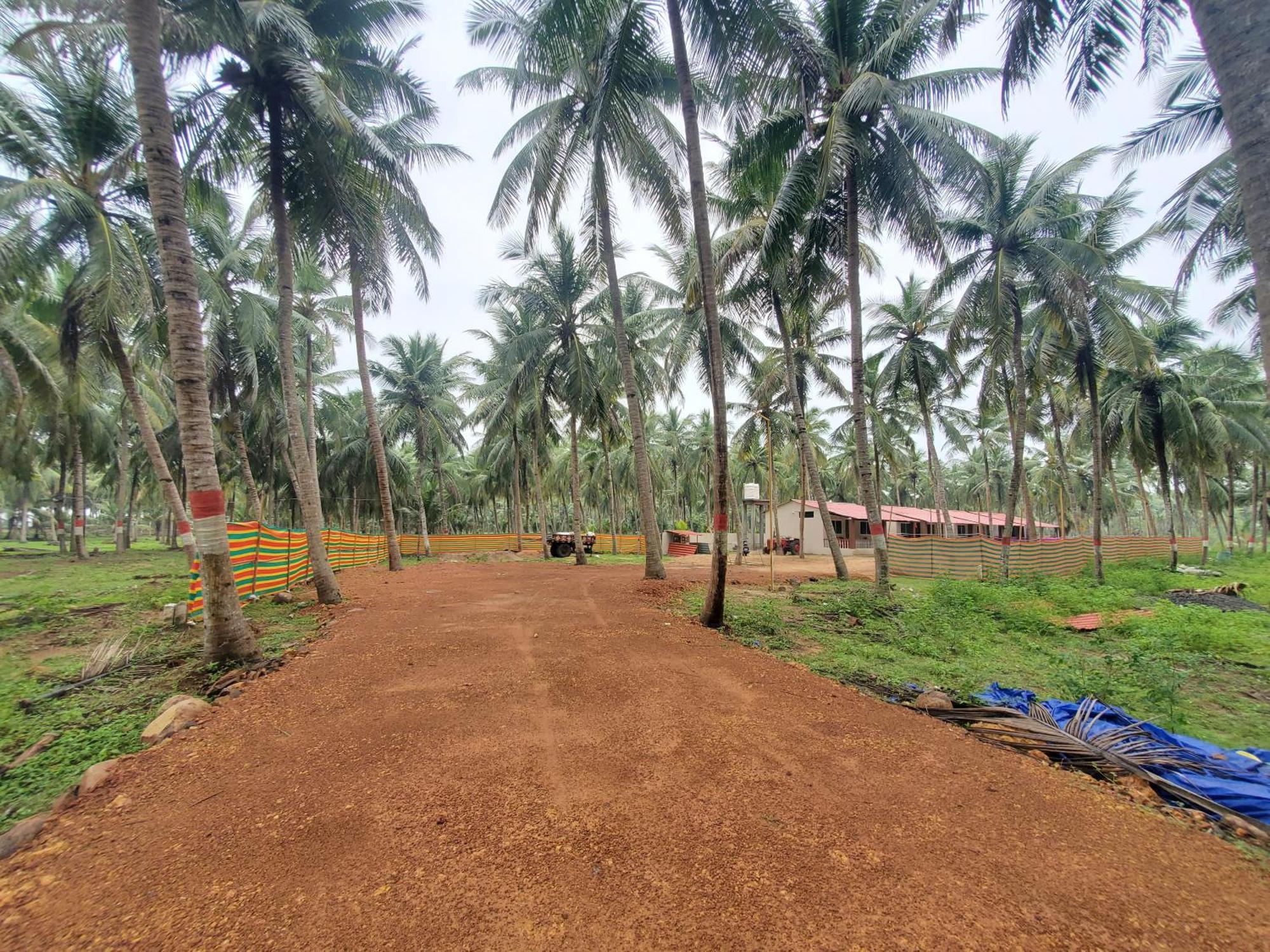 Coastline Beach Resort Perupalem Bagian luar foto